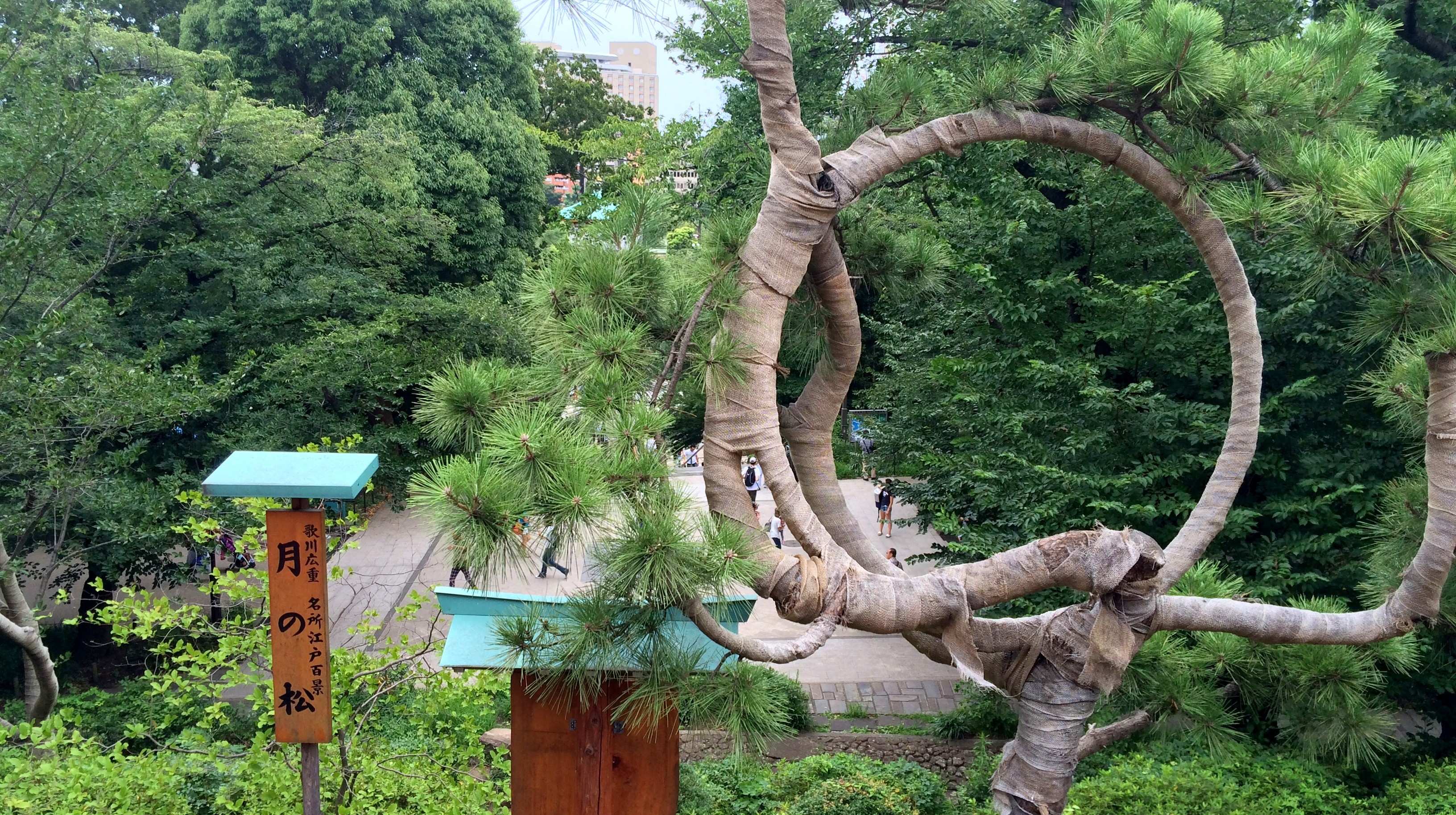 🏯 청수 관음당 (키요미즈칸논도) 이미지 4